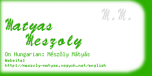 matyas meszoly business card